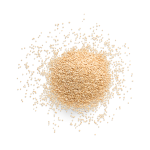Quinoa
